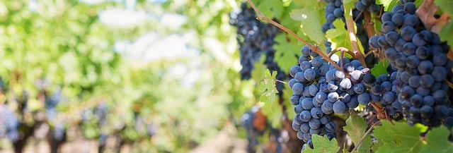 ip攻击器网页版